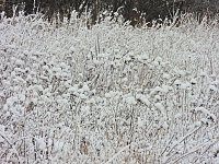 Bild: Ausflug nach Stiege