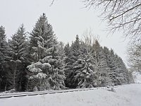 Bild: Ausflug nach Stiege