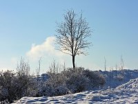 Bild: Winterliche Harzimpressionen