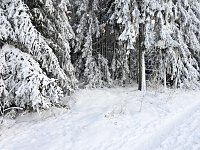 Bild: Winterliche Harzimpressionen