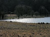 Bild: Osterspaziergang mit Peter Blei