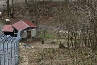 Bild: Besuch im Affenpark Strau&szlig;berg