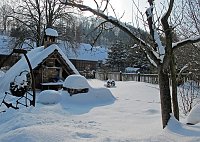 Bild: Wintergr&uuml;&szlig;e