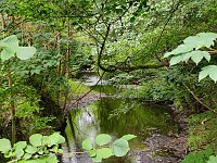 Bild: Vom M&auml;gdesprung zum Waldgagsthof