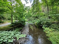 Bild: Vom M&auml;gdesprung zum Waldgagsthof