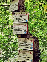 Bild: Vom M&auml;gdesprung zum Waldgagsthof