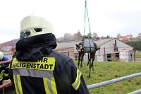 Bild: Tierrettung