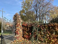 Bild: Herbstimpressionen