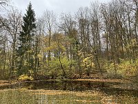 Bild: Herbstimpressionen