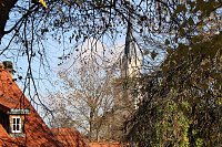 Bild: Herbstimpressionen