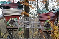 Bild: Herbstimpressionen