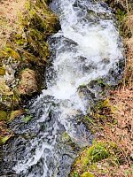 Bild: Sonntags in Stiege/Harz