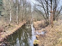 Bild: Sonntags in Stiege/Harz