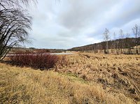 Bild: Sonntags in Stiege/Harz