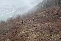 Bild: Landschaftspflegeverband f&uuml;hrt Ma&szlig;nahmen durch