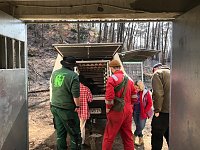 Bild: Eine ungew&ouml;hnliche Rettungsaktion f&uuml;hrte die Mitarbeiter des B&auml;renparks bis in die Ukraine