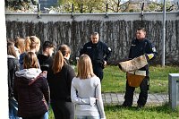 Bild: Boys-&Girlsday 2022