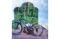 Bild: Bild des gestohlenen Bikes