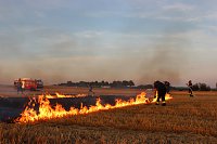 Bild: Feuerwehr probt f&uuml;r Feld- und Waldbr&auml;nde
