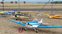 Bild: Flugtag des Nordh&auml;user Modellflugvereins