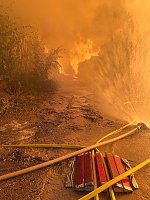 Bild: Brand auf dem Gel&auml;nde einer Holzverarbeitungsfirma