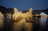 Bild: Peter Blei unterwegs in Magdeburg