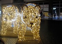 Bild: Peter Blei unterwegs in Magdeburg