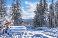 Bild: Winterspaziergang im Harz