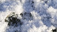 Bild: Winterimpressionen, aufgenommen an der Wipper