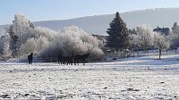 Bild: Winterimpressionen, aufgenommen an der Wipper