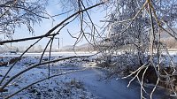 Bild: Winterimpressionen, aufgenommen an der Wipper