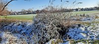 Bild: Beim Spaziergang aufgenommen