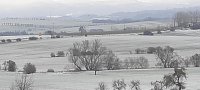 Bild: Beim Spaziergang aufgenommen