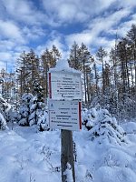 Glanz und Schlichtheit Bild: Glanz und Schlichtheit