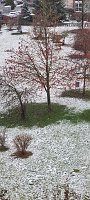 Ausblick Hof Bild: Ausblick Hof