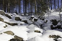An den Bodefällen in Braunlage Bild: An den Bodefällen in Braunlage