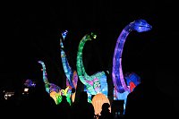 Bild: Peter Blei in den magischen Lichterwelten