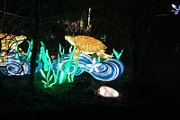Bild: Peter Blei in den magischen Lichterwelten