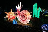 Bild: Peter Blei in den magischen Lichterwelten
