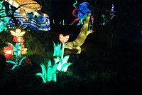 Bild: Peter Blei in den magischen Lichterwelten
