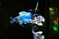 Bild: Peter Blei in den magischen Lichterwelten