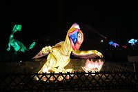 Bild: Peter Blei in den magischen Lichterwelten