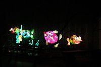 Bild: Peter Blei in den magischen Lichterwelten