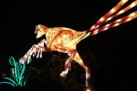 Bild: Peter Blei in den magischen Lichterwelten