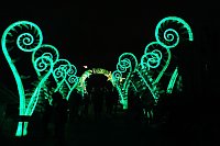 Bild: Peter Blei in den magischen Lichterwelten