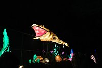 Bild: Peter Blei in den magischen Lichterwelten