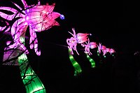 Bild: Peter Blei in den magischen Lichterwelten
