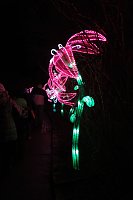 Bild: Peter Blei in den magischen Lichterwelten