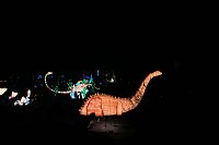 Bild: Peter Blei in den magischen Lichterwelten