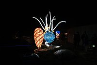 Bild: Peter Blei in den magischen Lichterwelten